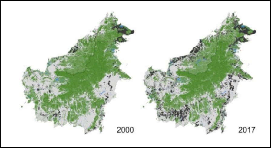 Changes in the Distribution of Forests Due to Deforestation